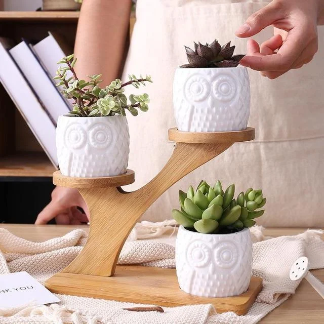 1-Set-Ceramic-Owl-Garden-Pots-Modern-Pumpkin-Flowerpot-Nursery-Succulent-Plant-Pot-3-Bonsai-Planters_16491559-80f3-41db-9b6f-21ae3e061061 1 Set Ceramic Owl Garden Pots Modern Pumpkin Flowerpot Nursery Succulent Plant Pot 3 Bonsai Planters 16491559 80f3 41db 9b6f 21ae3e061061