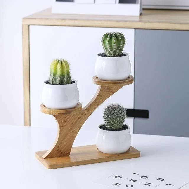 1-Set-Ceramic-Owl-Garden-Pots-Modern-Pumpkin-Flowerpot-Nursery-Succulent-Plant-Pot-3-Bonsai-Planters_78363e7d-be3f-48fe-aec2-ea0bd8dc23e2 1 Set Ceramic Owl Garden Pots Modern Pumpkin Flowerpot Nursery Succulent Plant Pot 3 Bonsai Planters 78363e7d Be3f 48fe Aec2 Ea0bd8dc23e2