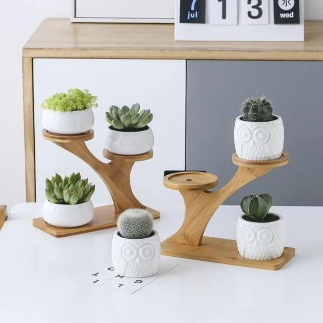 1-Set-Ceramic-Owl-Garden-Pots-Modern-Pumpkin-Flowerpot-Nursery-Succulent-Plant-Pot-3-Bonsai-Planters_920c86f3-5506-4193-a2c4-73259fa7f0ad 1 Set Ceramic Owl Garden Pots Modern Pumpkin Flowerpot Nursery Succulent Plant Pot 3 Bonsai Planters 920c86f3 5506 4193 A2c4 73259fa7f0ad