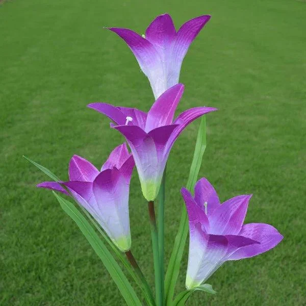 1658744976_solarlilyflowerlightspurple 1658744976 Solarlilyflowerlightspurple