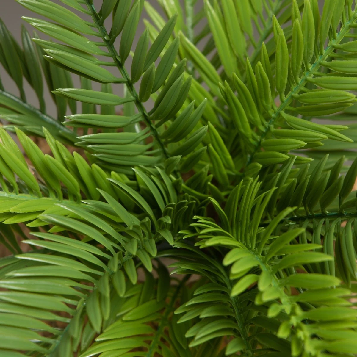 18_Leaves_Artificial_Sago_Cycas_-_-4115863 18 Leaves Artificial Sago Cycas -