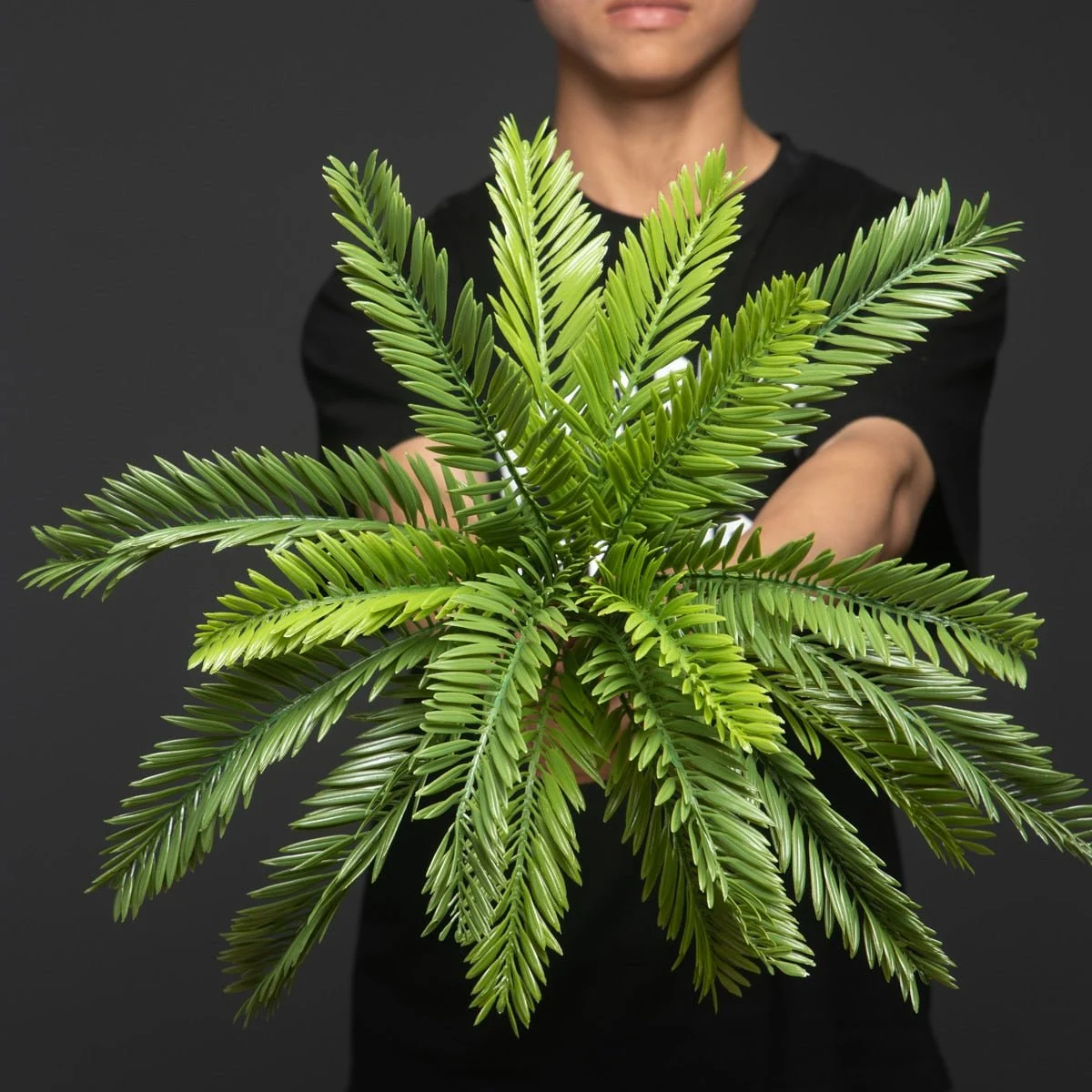 18_Leaves_Artificial_Sago_Cycas_-_-4115864 18 Leaves Artificial Sago Cycas -