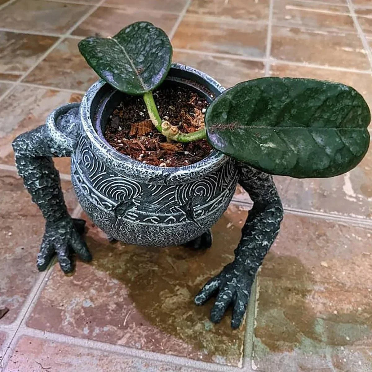 1Pc-Tuinieren-Aanplant-Patio-Planter-Home-Decor-Grote-Pot.jpg_7cc3af52-9d8b-4077-b1d0-d577c272e677 1pc Tuinieren Aanplant Patio Planter Home Decor Grote Pot.jpg 7cc3af52 9d8b 4077 B1d0 D577c272e677