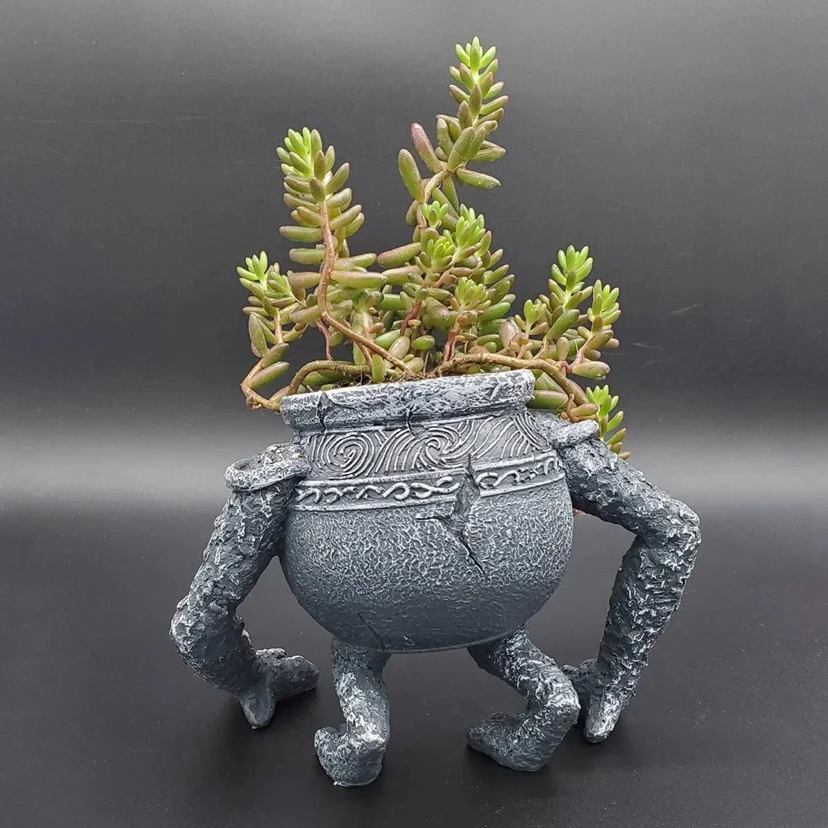1Pc-Tuinieren-Aanplant-Patio-Planter-Home-Decor-Grote-Pot.jpg_804f40bb-18ba-4713-b3f5-bb8f513d5f4c 1pc Tuinieren Aanplant Patio Planter Home Decor Grote Pot.jpg 804f40bb 18ba 4713 B3f5 Bb8f513d5f4c