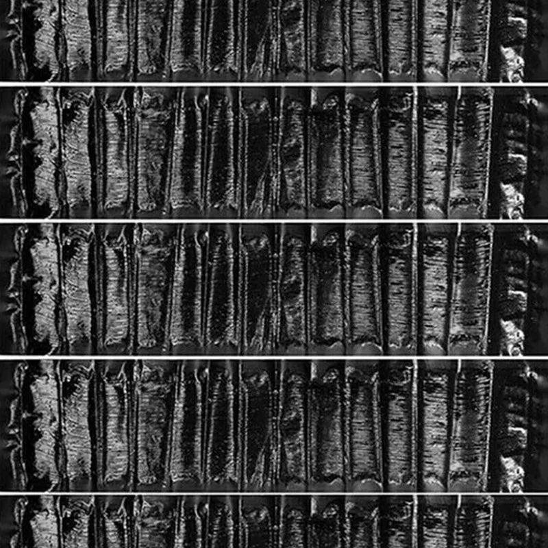 1_0008__12 1 0008 12
