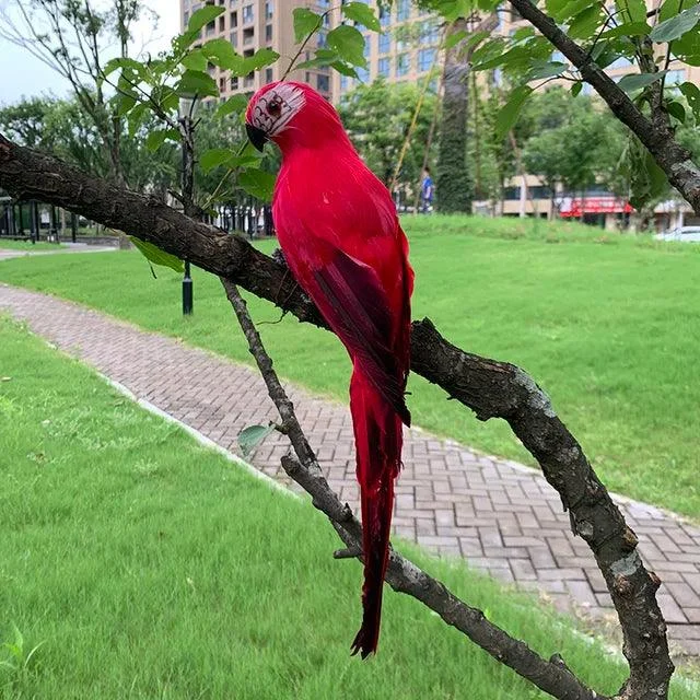 25-35cm-Simulation-Parrot-Garden-Decoration-Creative-Lawn-Figurine-Ornament-Animal-Bird-Outdoor-Garden-Party-Prop.jpg_640x640_191d58bd-d4fa-4202-b496-fa2d5a078b7f TropicPerch - Parrot Garden Decoration - ISTANBULLU LTD