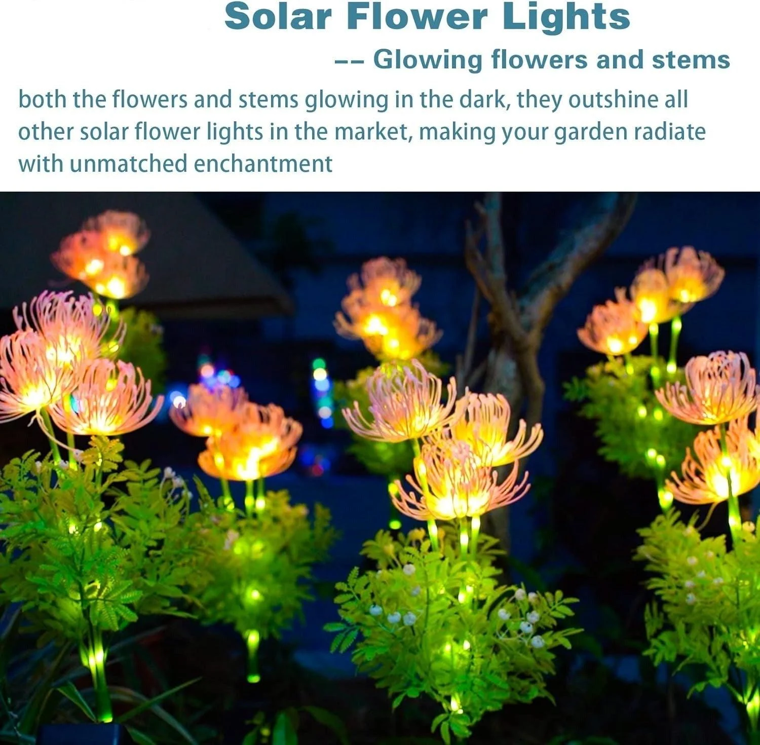 2_Packs_-_Solar_Glowing_Outdoor_Flowers_-_-_tag1_-4116868 2 Packs - Solar Glowing Outdoor Flowers - - #tag1#