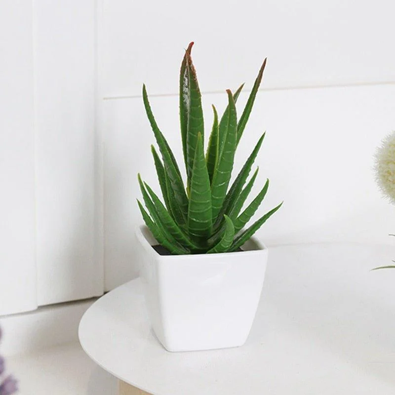 6_Pots_of_Mini_Artificial_Plant_-_-4117571 6 Pots of Mini Artificial Plant -
