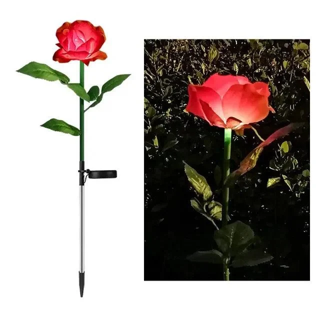 7-Hoofd-Solar-Led-Saussurea-Rose-Bloem-Gazon-Licht-Energiebesparing-Gazon-Lampen-Buiten-Tuinpad-Tuin-Decoratie.jpg_640x640_58f75ee2-adba-4b85-b4bf-03e16b5a1f88 7 Hoofd Solar Led Saussurea Rose Bloem Gazon Licht Energiebesparing Gazon Lampen Buiten Tuinpad Tuin Decoratie.jpg 640x640 58f75ee2 Adba 4b85 B4bf 03e16b5a1f88