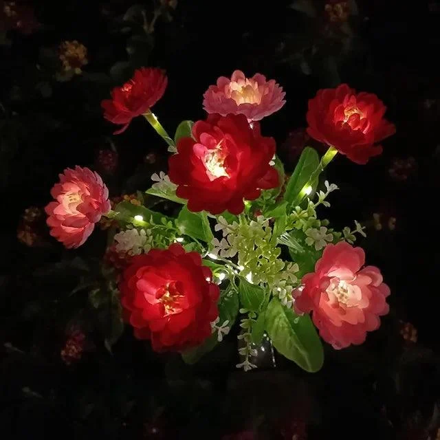 7-Hoofd-Solar-Led-Saussurea-Rose-Bloem-Gazon-Licht-Energiebesparing-Gazon-Lampen-Buiten-Tuinpad-Tuin-Decoratie.jpg_640x640_7f629c3d-2359-45e1-8cfb-d5b50fbf428f 7 Hoofd Solar Led Saussurea Rose Bloem Gazon Licht Energiebesparing Gazon Lampen Buiten Tuinpad Tuin Decoratie.jpg 640x640 7f629c3d 2359 45e1 8cfb D5b50fbf428f