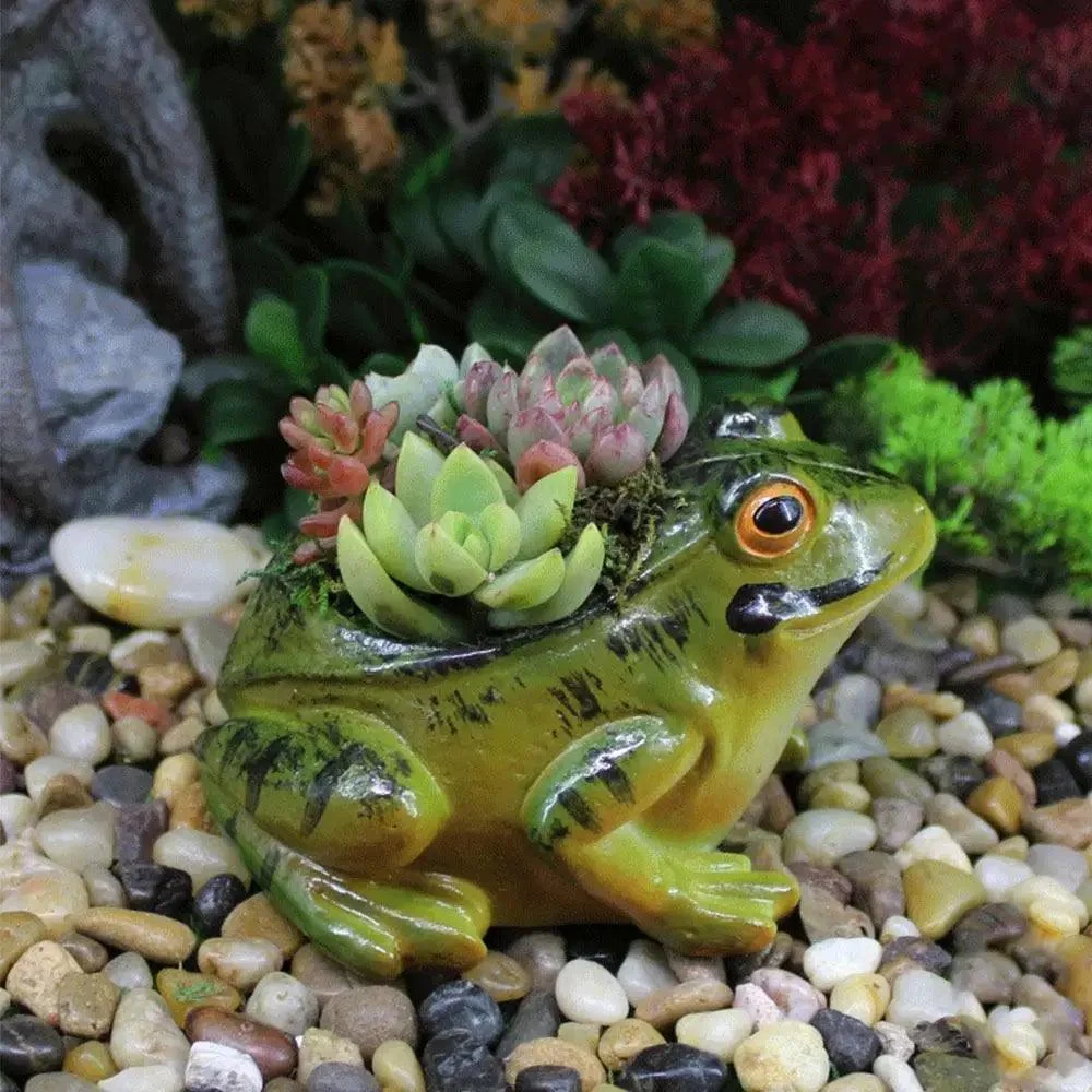 Ademende-Kikker-Sappige-Plantenpotten-Tuinieren-Levert-Schattige-Hars-Kikker-Bloempot-Verdikte-Mini-Plant-Planter-Binnenplaats.jpg_4c8807e6-4257-4d8a-813c-d5ea906c1617 Ademende Kikker Sappige Plantenpotten Tuinieren Levert Schattige Hars Kikker Bloempot Verdikte Mini Plant Planter Binnenplaats.jpg 4c8807e6 4257 4d8a 813c D5ea906c1617