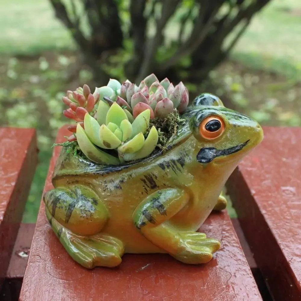 Ademende-Kikker-Sappige-Plantenpotten-Tuinieren-Levert-Schattige-Hars-Kikker-Bloempot-Verdikte-Mini-Plant-Planter-Binnenplaats.jpg_d6c4cd28-e7dc-4d87-99de-b0b3092a86e6 Ademende Kikker Sappige Plantenpotten Tuinieren Levert Schattige Hars Kikker Bloempot Verdikte Mini Plant Planter Binnenplaats.jpg D6c4cd28 E7dc 4d87 99de B0b3092a86e6