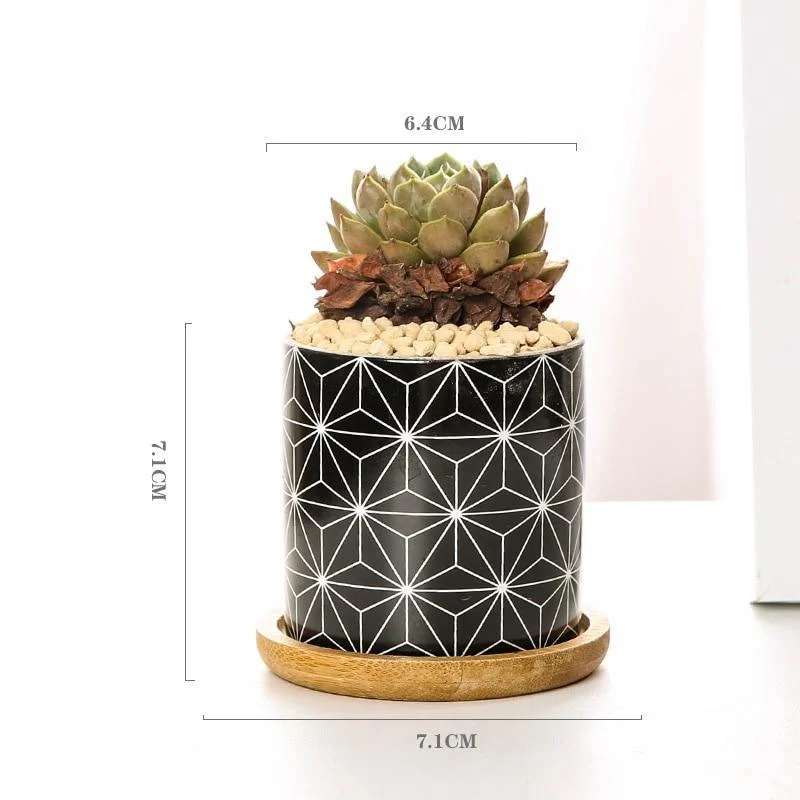 Aiva_-_Nordic_Geometric_Succulent_Planter_-_-_tag1_-4127632 Aiva - Nordic Geometric Succulent Planter - - #tag1#