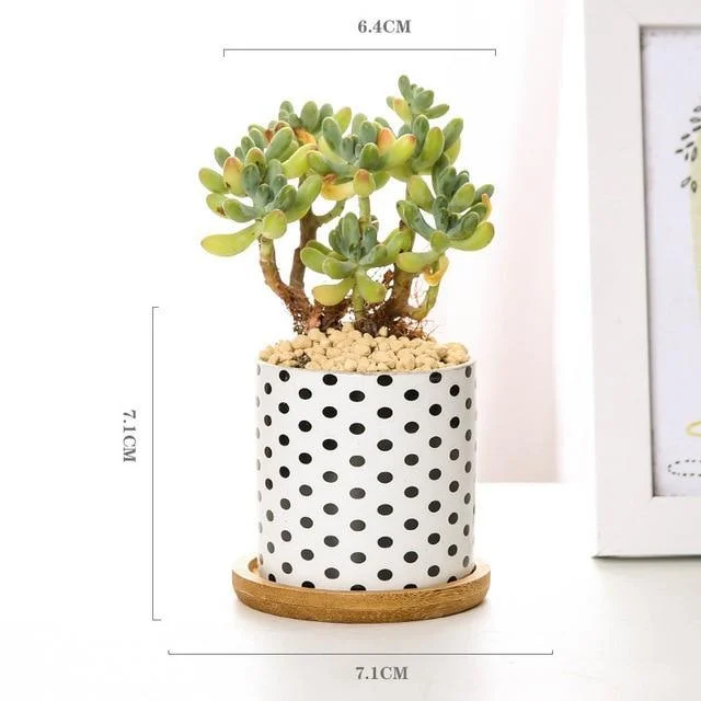 Aiva_-_Nordic_Geometric_Succulent_Planter_-_-_tag1_-4127658 Aiva - Nordic Geometric Succulent Planter - - #tag1#