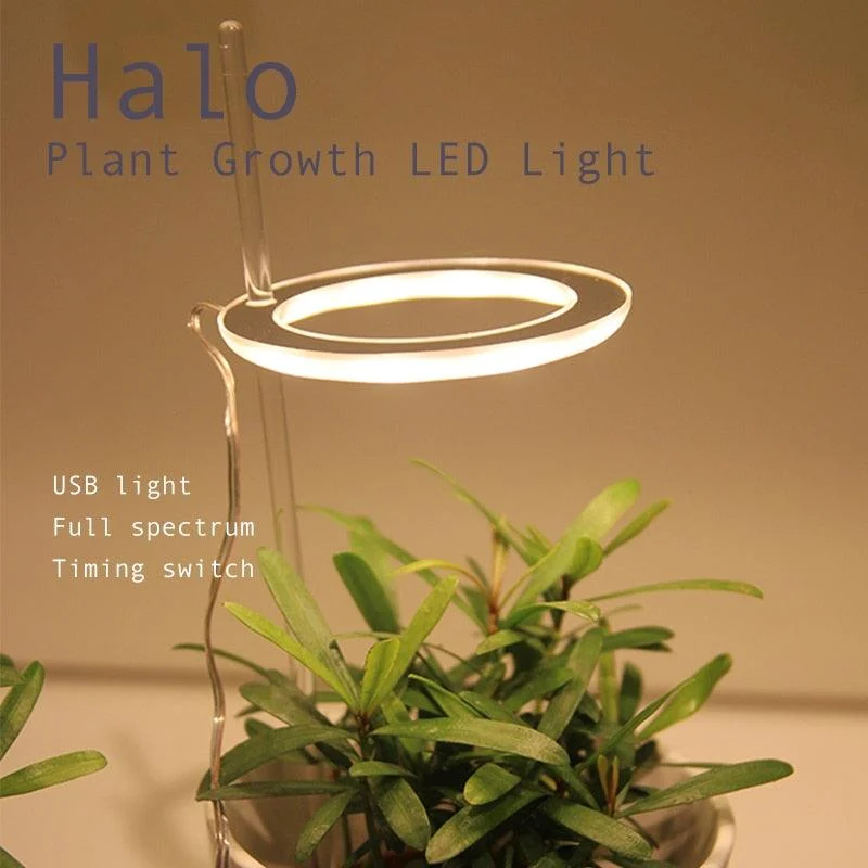 Angel_Three_Ring_Grow_Light_-_-4125245 Angel Three Ring Grow Light -