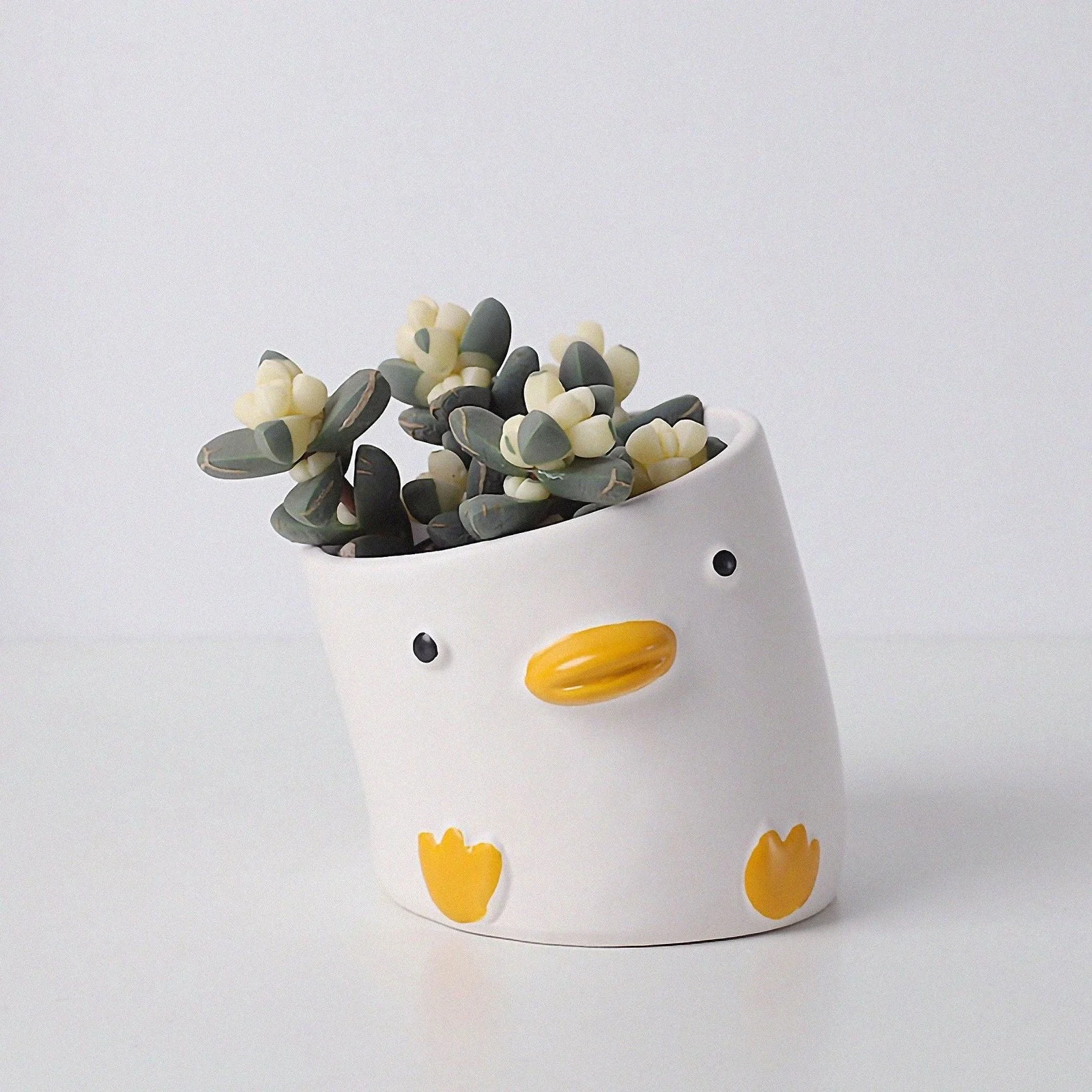 Animal Cup Planters -