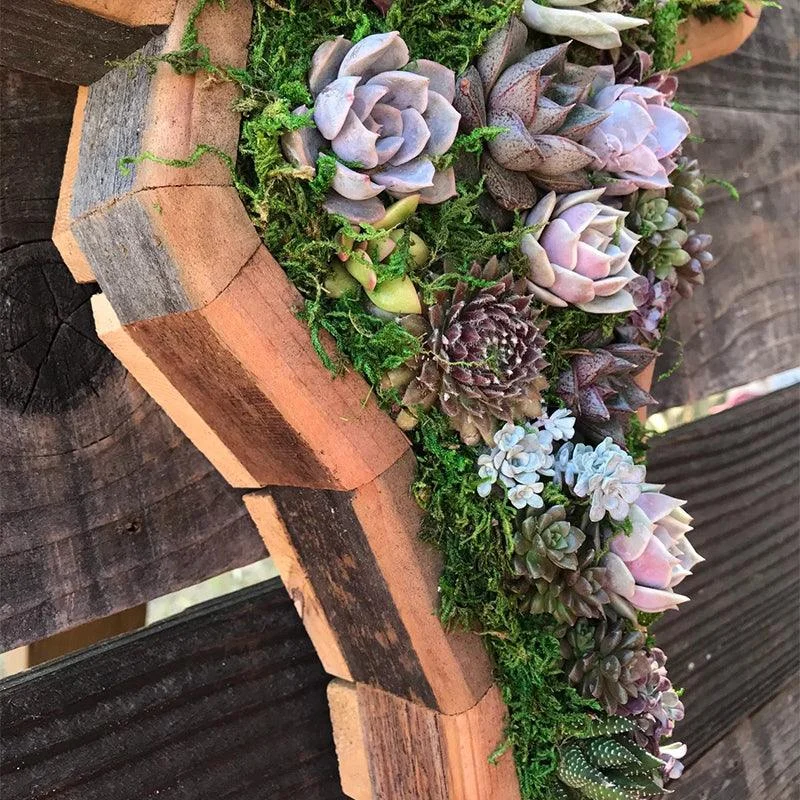 Animal_Succulent_Garden_Arrangement_-_-_tag1_-4135132 Animal Succulent Garden Arrangement - - #tag1#