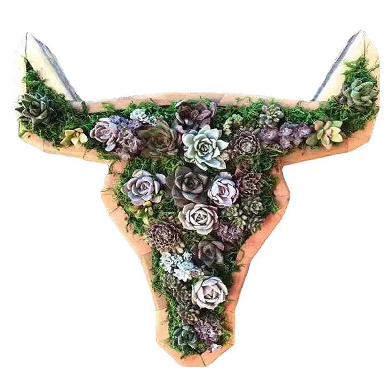 Animal_Succulent_Garden_Arrangement_-_-_tag1_-4135142 Animal Succulent Garden Arrangement - - #tag1#