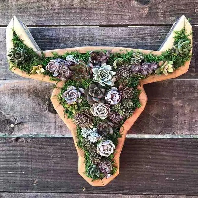 Animal_Succulent_Garden_Arrangement_-_-_tag1_-4135147 Animal Succulent Garden Arrangement - - #tag1#
