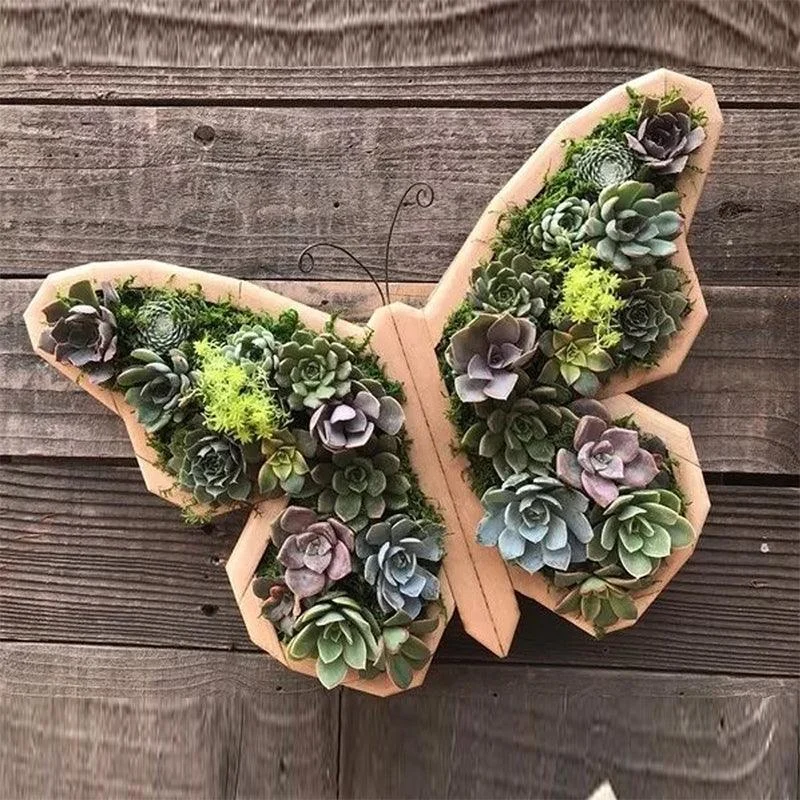 Animal_Succulent_Garden_Arrangement_-_-_tag1_-4135157 Animal Succulent Garden Arrangement - - #tag1#