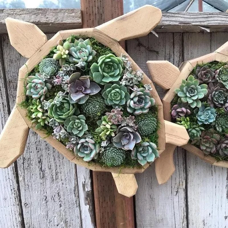 Animal_Succulent_Garden_Arrangement_-_-_tag1_-4135162 Animal Succulent Garden Arrangement - - #tag1#