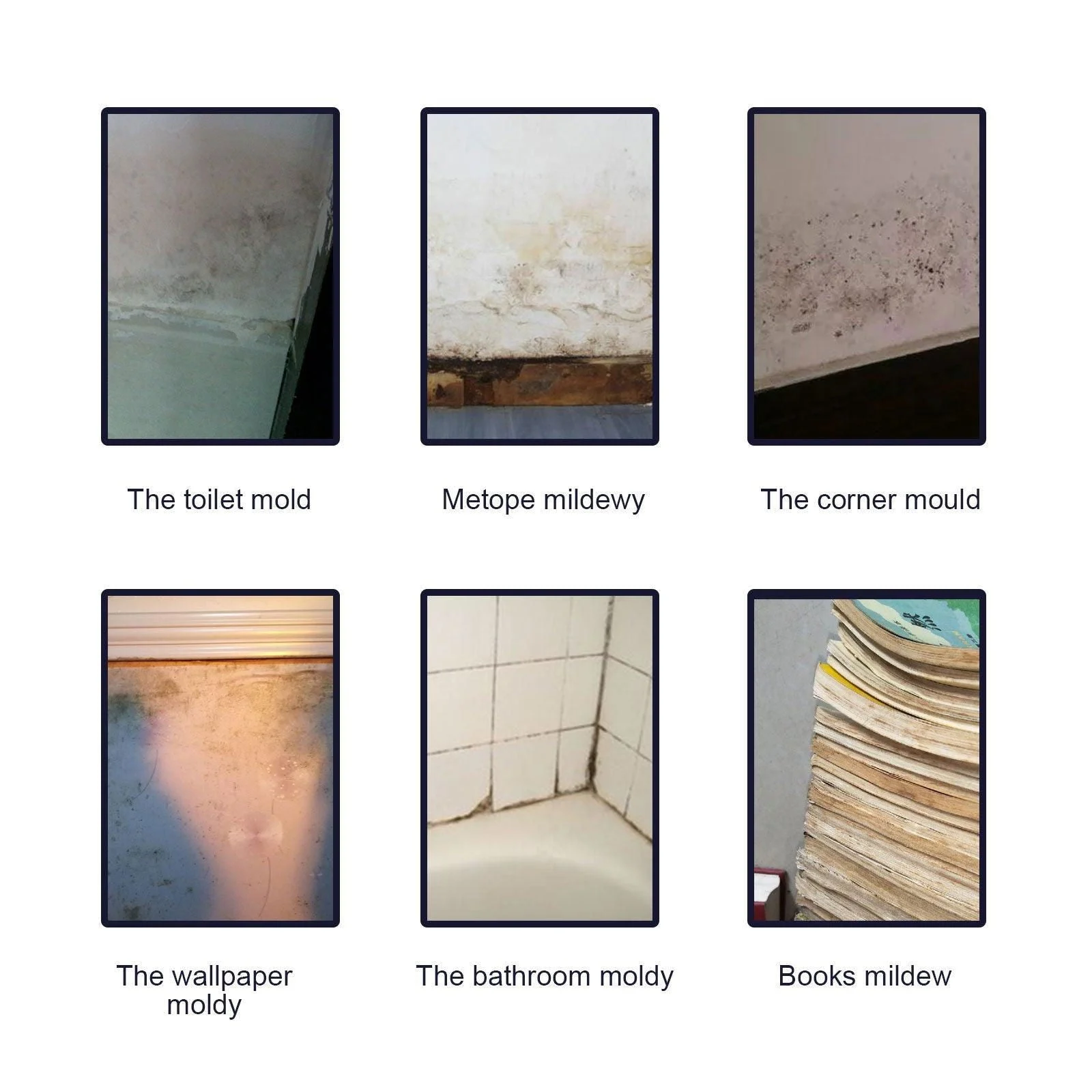Anti-mold spray for silicone joints – disinfection & deodorant -  - #tag1#