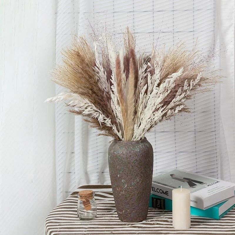 Apollonia_Plant_-_-4126750 Apollonia Plant -