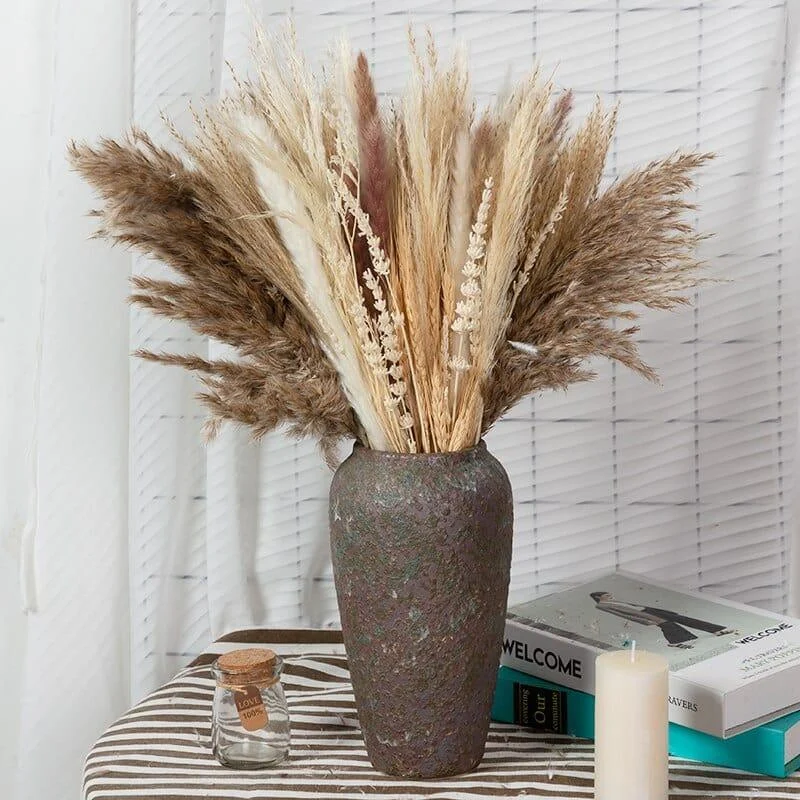 Apollonia_Plant_-_-4126755 Apollonia Plant -