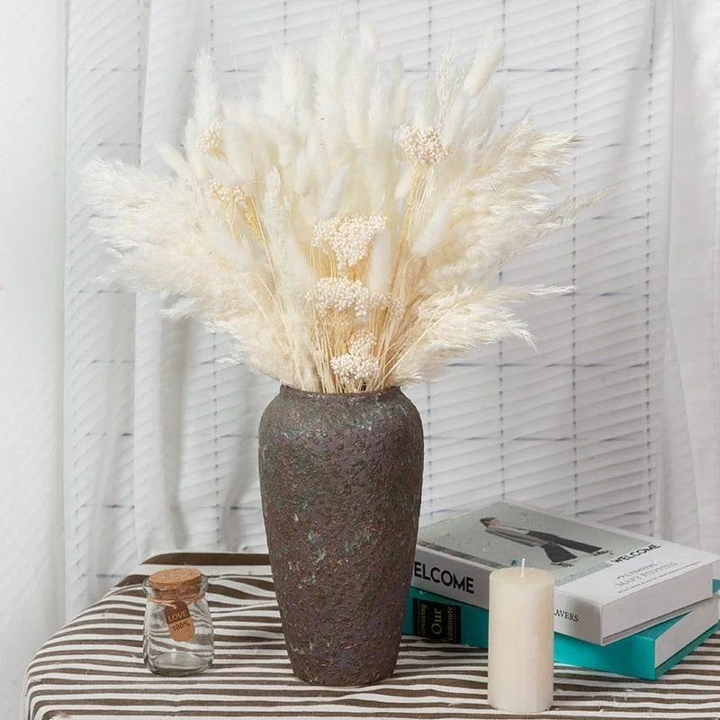 Apollonia_Plant_-_-4126761 Apollonia Plant -