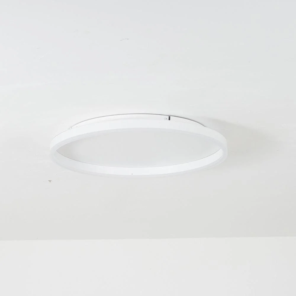 Arisha_Modern_LED_Metal_Ceiling_Lamp_-_-_tag1_-4135350 Arisha Modern LED Metal Ceiling Lamp - - #tag1#