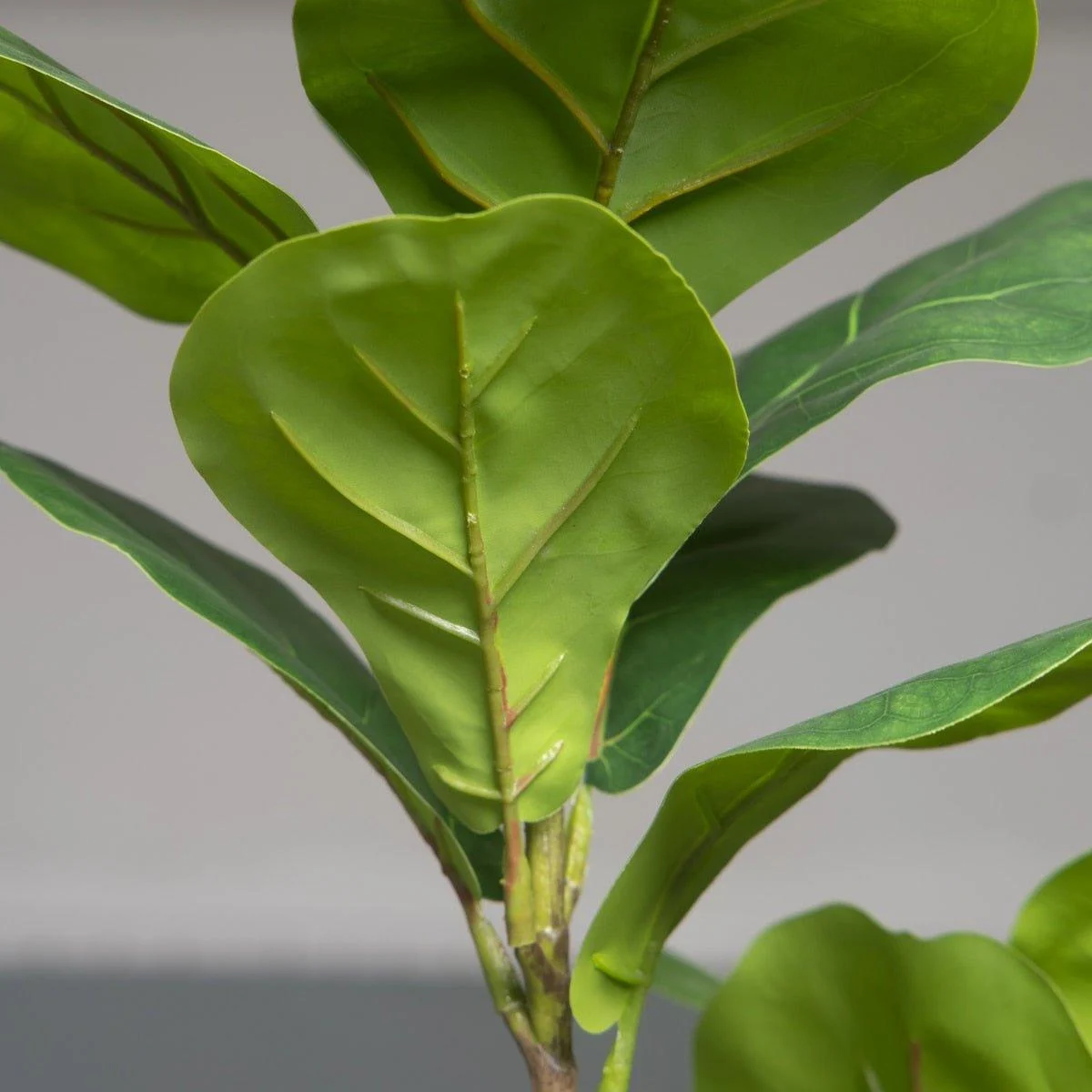 Artificial_Plants_Ficus_Tree_Branch_Banyan_-_-4128602 Artificial Plants Ficus Tree Branch Banyan -