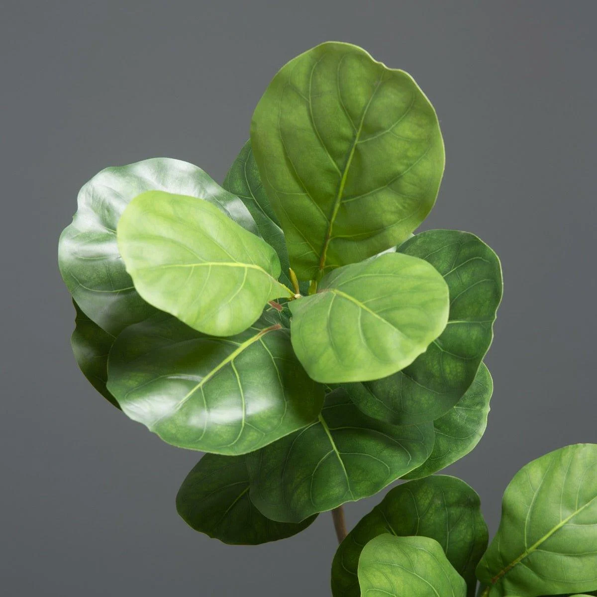 Artificial Plants Ficus Tree Branch Banyan -