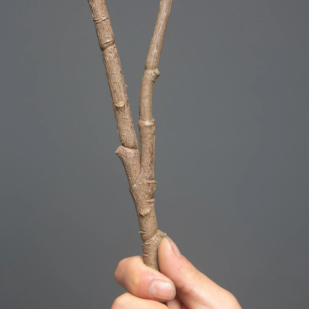 Artificial_Plants_Ficus_Tree_Branch_Banyan_-_-4128614 Artificial Plants Ficus Tree Branch Banyan -