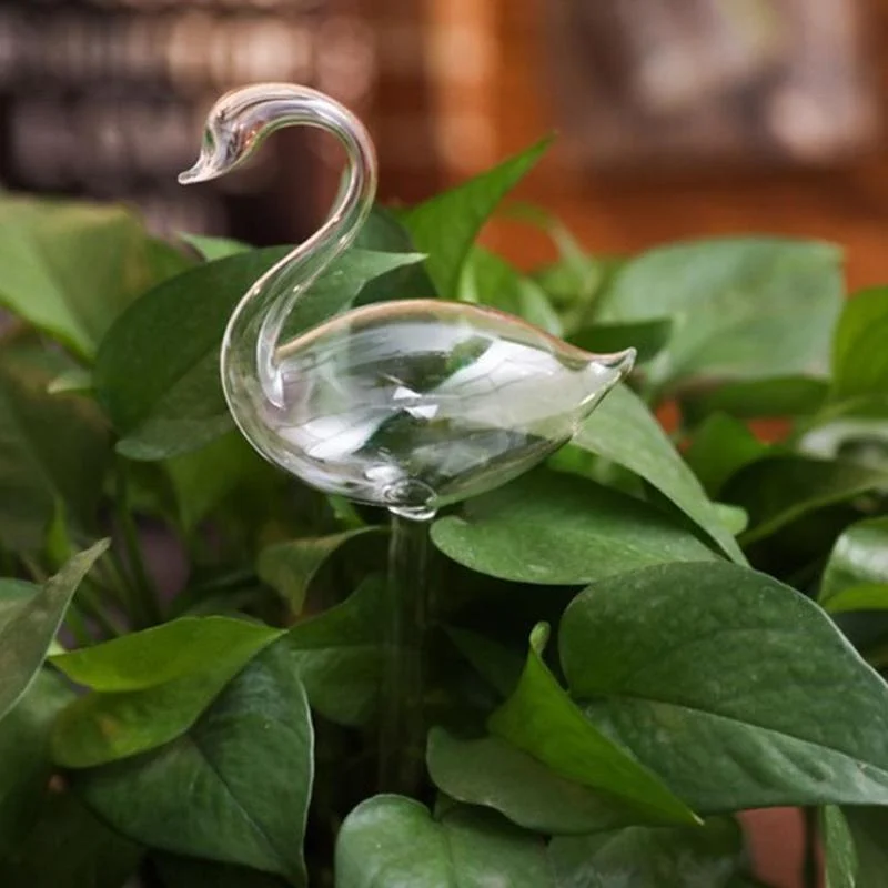 Automatic Self Watering Glass Bird Watering Cans Flowers Plant Decorative Clear Glass Watering Device House Garden 0c320faa 7a14 4bf2 B288 762cdde4ea35