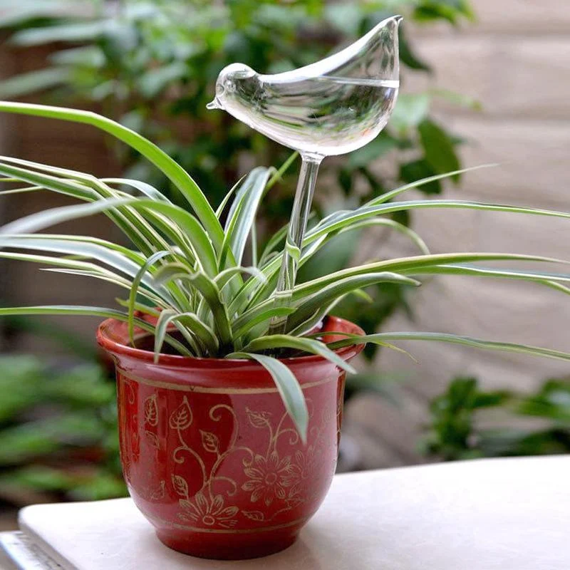 Automatic Self Watering Glass Bird Watering Cans Flowers Plant Decorative Clear Glass Watering Device House Garden 7ce110f2 Efc2 4454 86f6 B65bf0395844