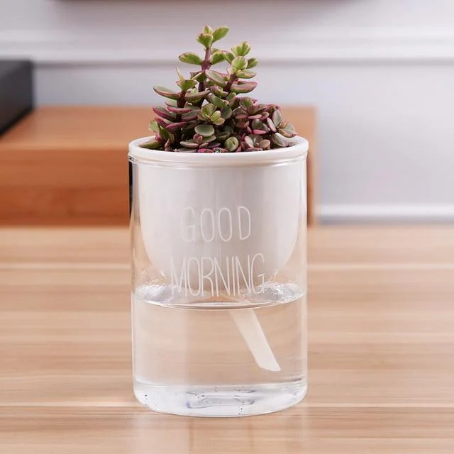 Automatic Watering Planter Pot - - #tag1#