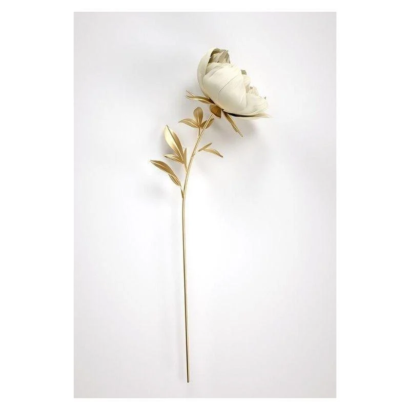 Biarresa_Canvas_-_-4137538 Biarresa Canvas -
