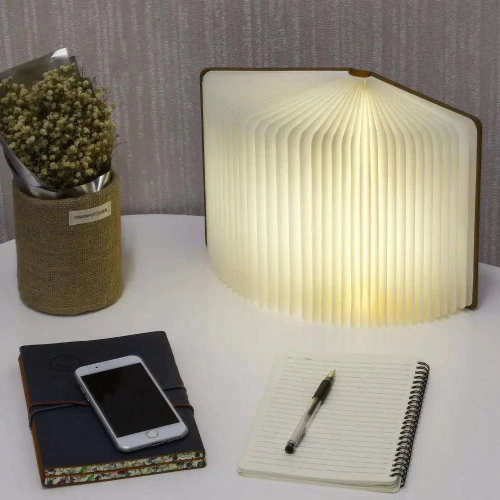 Book_Lamp_-_-4142867 Book Lamp -