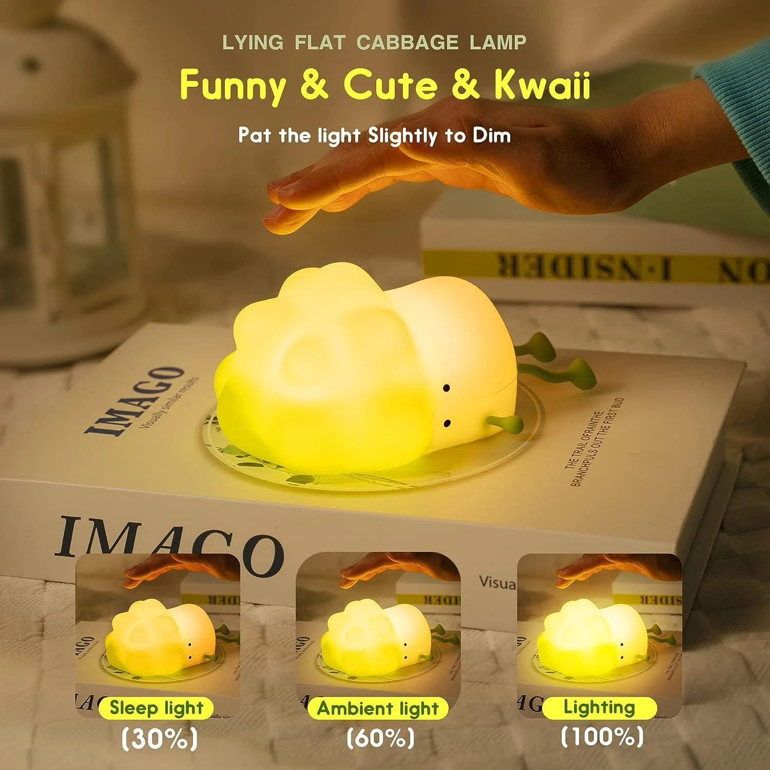 Cabbage_Night_Light_-_-_tag1_-4161187 Cabbage Night Light - - #tag1#