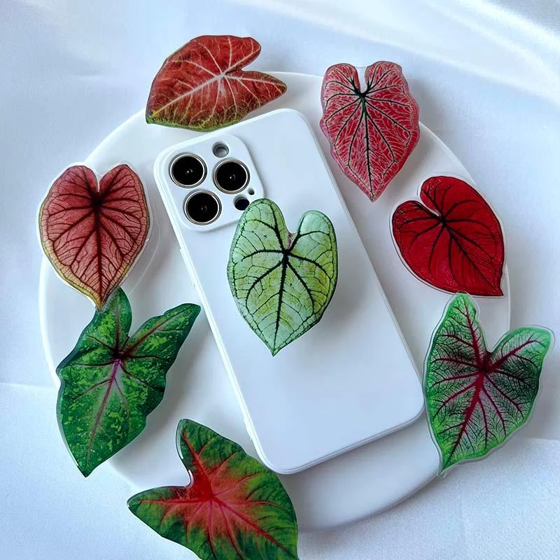 Caladium Leaf Sockets -