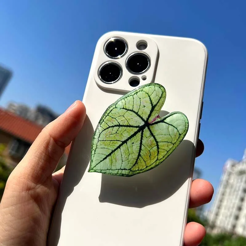 Caladium Leaf Sockets -
