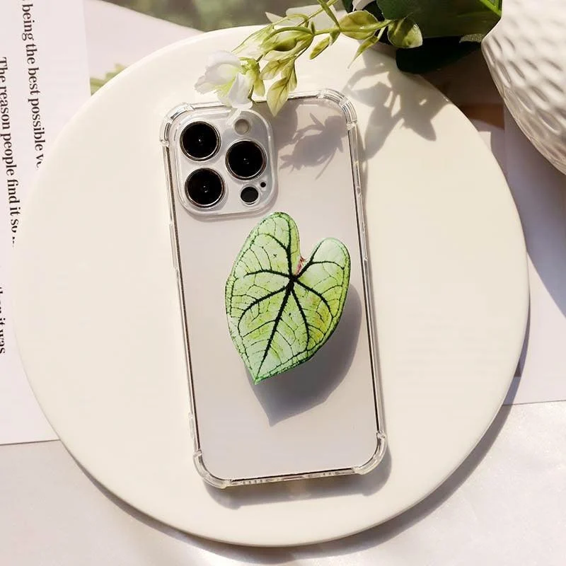 Caladium Leaf Sockets -