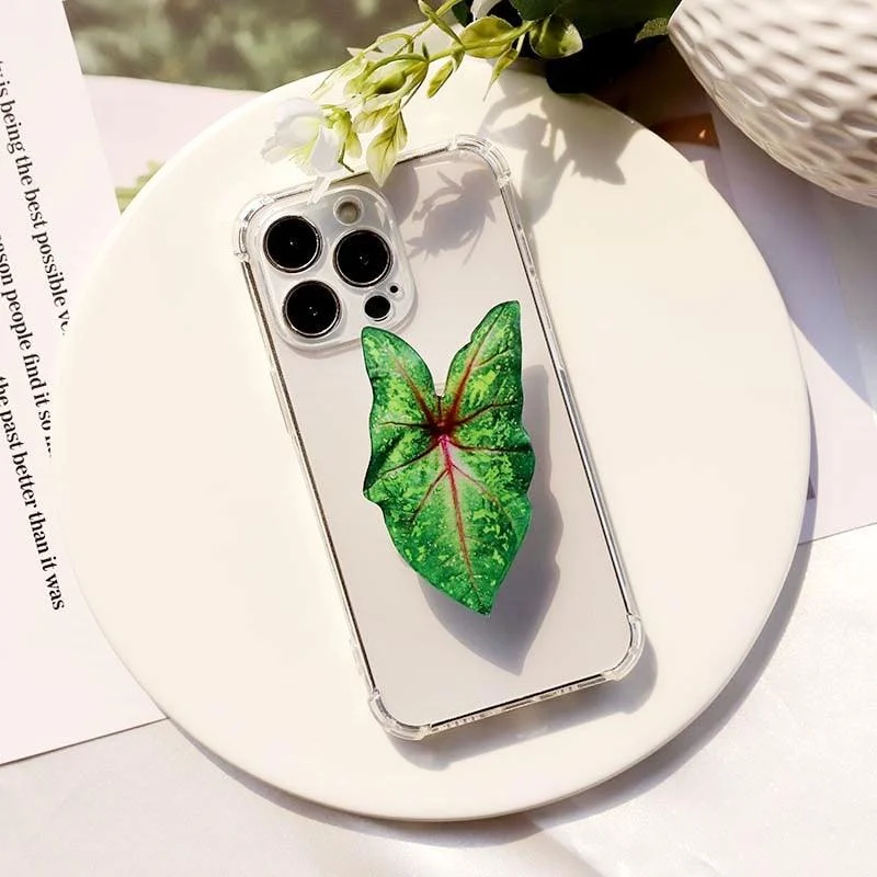 Caladium Leaf Sockets -