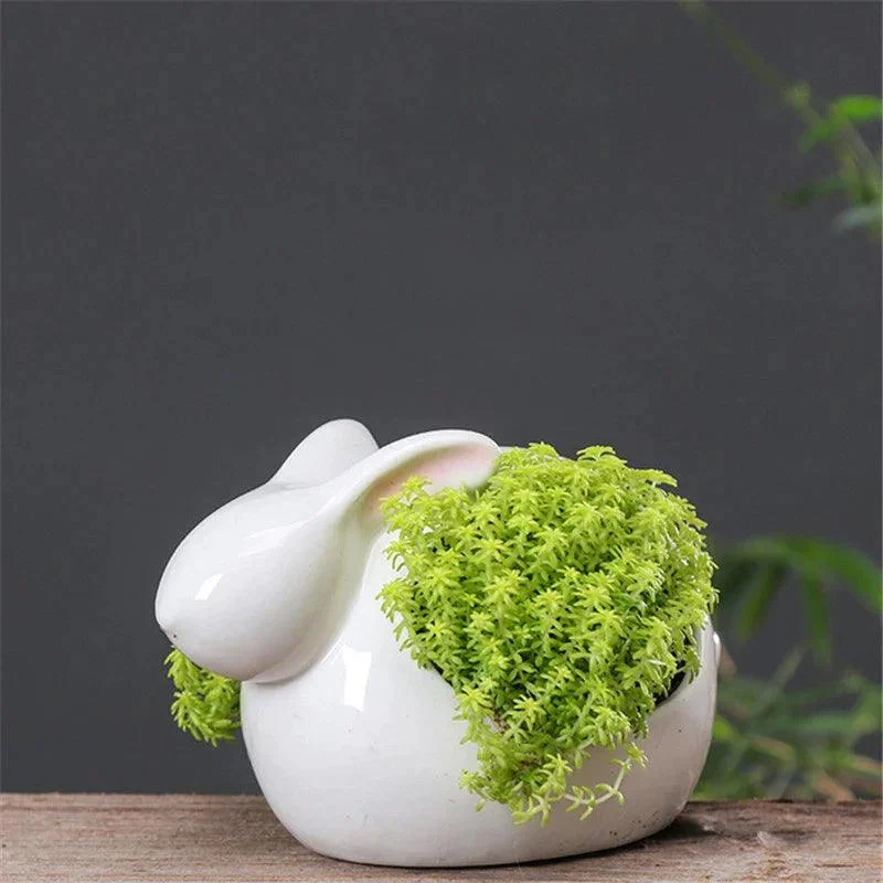 Cartoon_Rabbits_Flowerpot_Charming_Ceramic_Planters_for_Home_Decor_-_-4149196 Cartoon Rabbits Flowerpot: Charming Ceramic Planters for Home Décor -