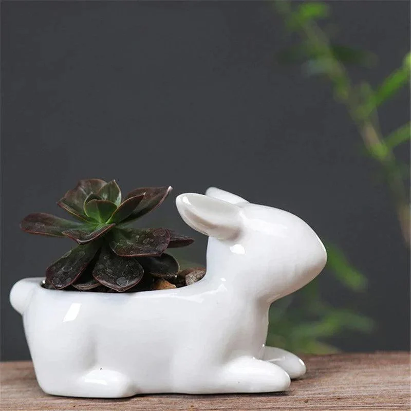 Cartoon_Rabbits_Flowerpot_Charming_Ceramic_Planters_for_Home_Decor_-_-4149210 Cartoon Rabbits Flowerpot: Charming Ceramic Planters for Home Décor -
