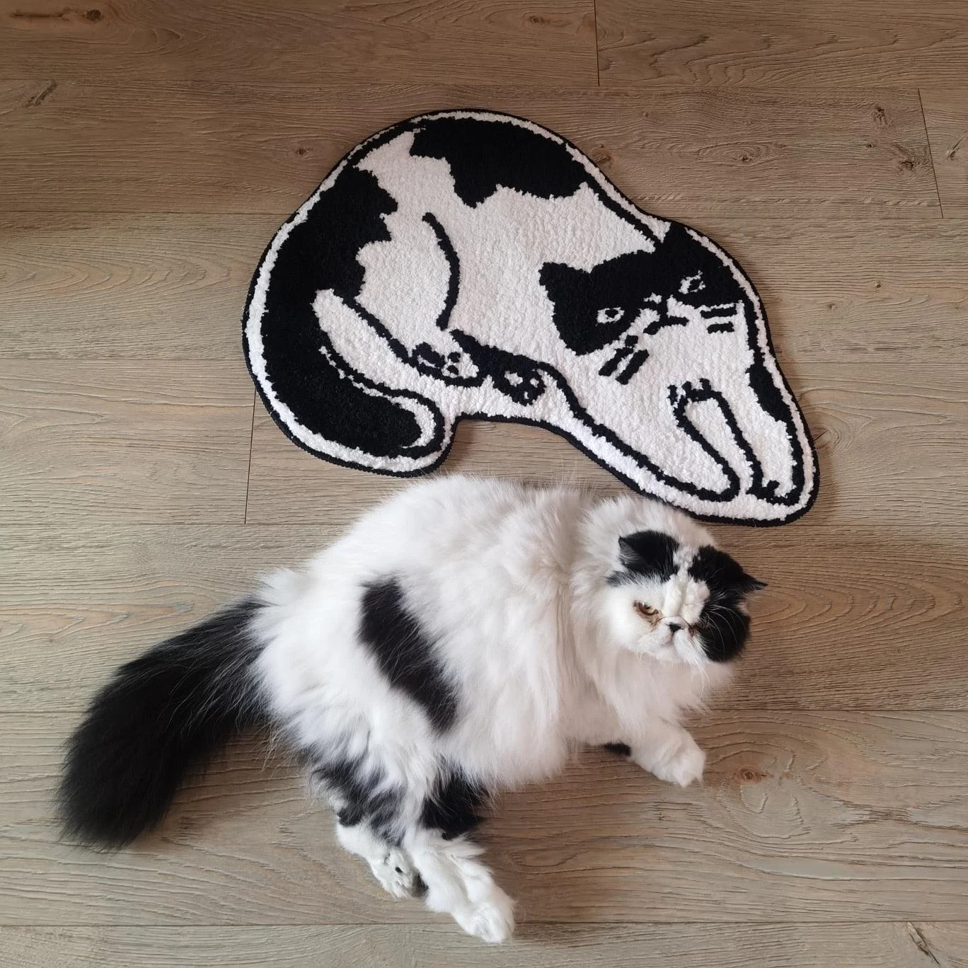 Cat_Shaped_Floor_Mat_-_-4150225 Cat Shaped Floor Mat -