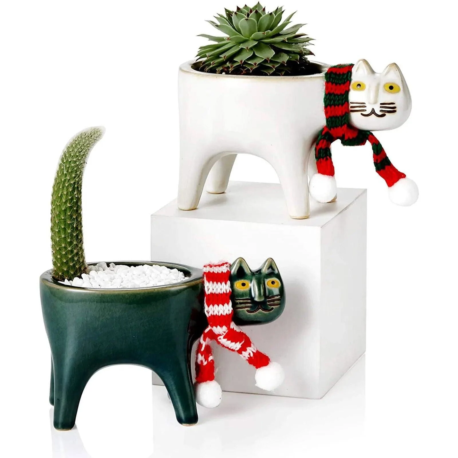 Cat Tail Hand-Crafted Flower Pot -