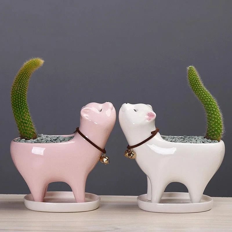 Ceramic_Cat_Tail_Cactus_Flowerpot_-_-4151979 Ceramic Cat Tail Cactus Flowerpot -