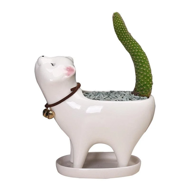 Ceramic_Cat_Tail_Cactus_Flowerpot_-_-4151985 Ceramic Cat Tail Cactus Flowerpot -