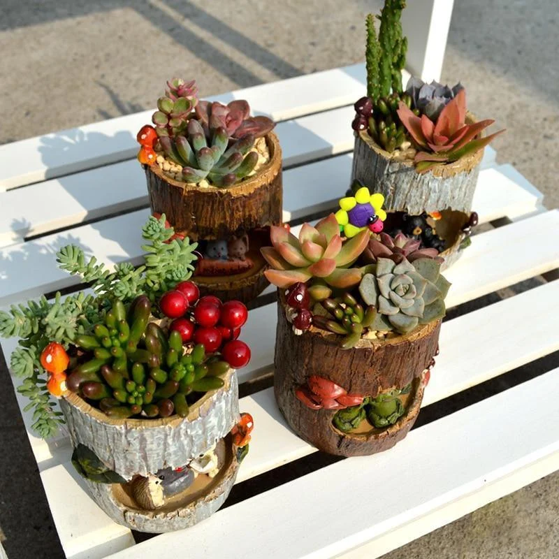 Charming_Succulent_Planter_-_-4154632 Charming Succulent Planter -